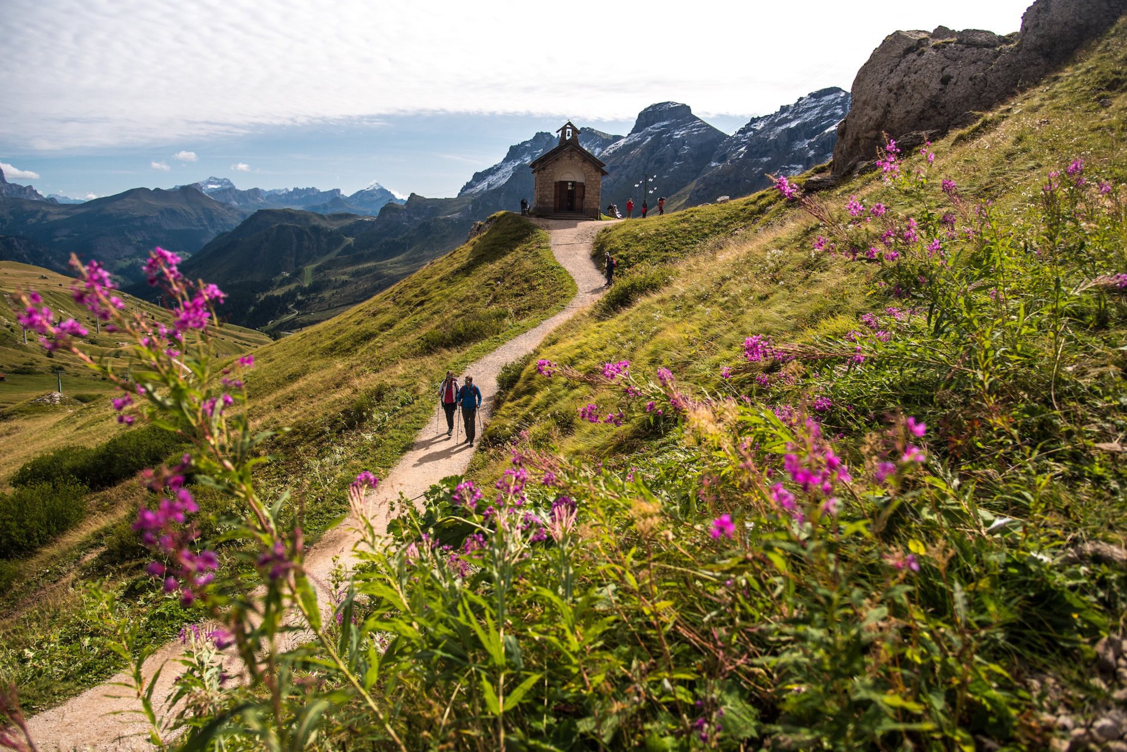 visit dolomiti bellunesi