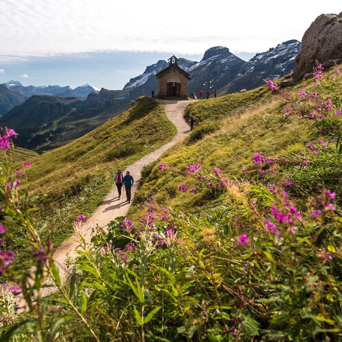 Pordoi Dolomiti LUC 7550