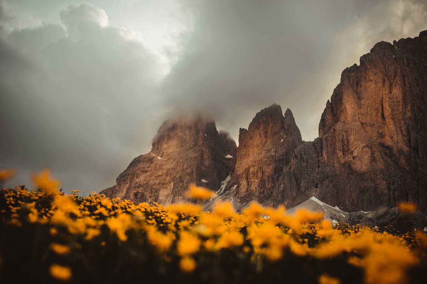 Previsioni Meteo Estate