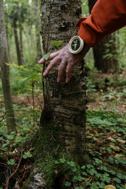 Le buone pratiche per un’escursione in montagna: rispetto, prudenza e divertimento