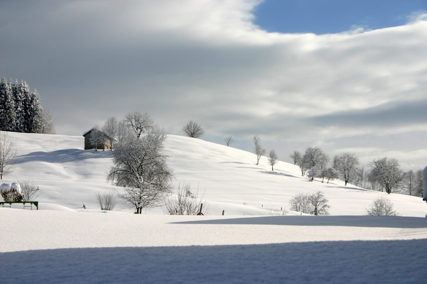 Alpago Cansiglio