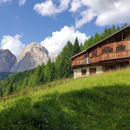 Giro Dei Mas | © Archivio Dmo Dolomiti Bellunesi