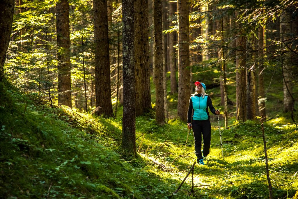 Foresta Somadida Auronzo Cadore LUC 8060