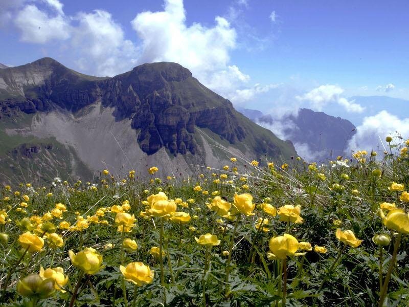 Itinerari in bicicletta nel Parco Nazionale Dolomiti Bellunesi