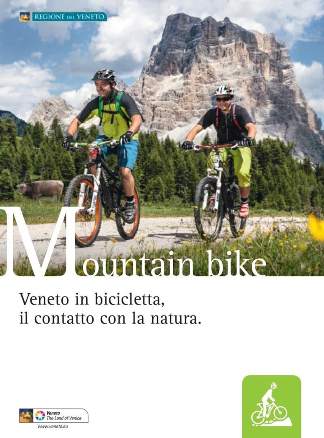 Mountain bike