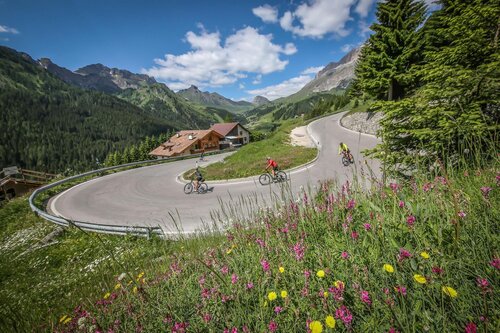 Passo Campolongo