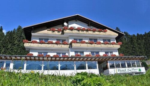 Hotel Tre Pini - Danta di Cadore - Dolomiti