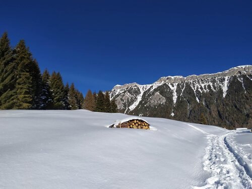 camminare in mezzo alla neve