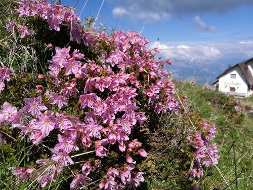 Belluno_RifugioBristot_5