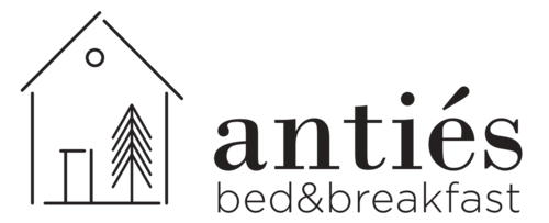 Logo_Anties_def