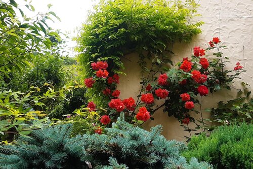 Giardino della casa