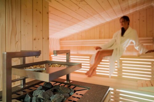 SAUNA1-1