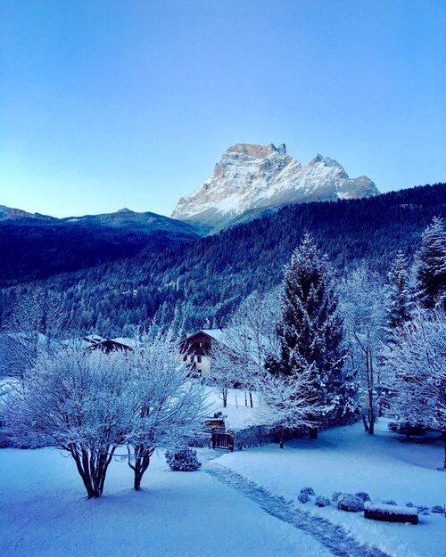 parco inverno alba