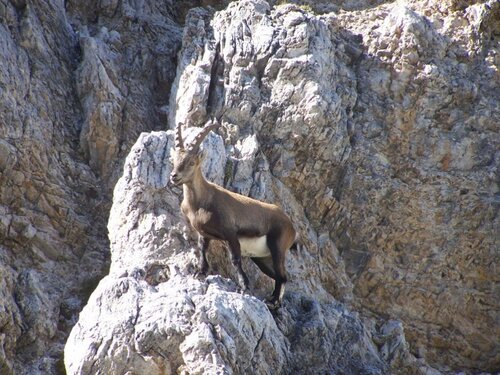 Rifugio Galassi 6-crop