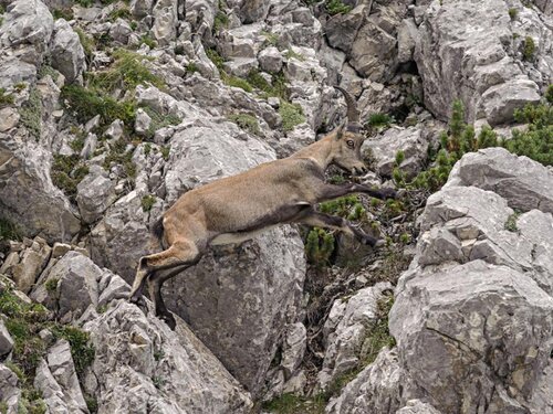 Rifugio Galassi 7-crop