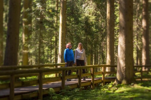 Trekking Val Comelico