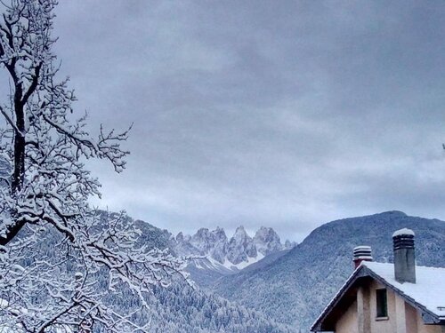 B&B Sogno in Cadore 17-crop