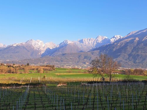 vista campagna