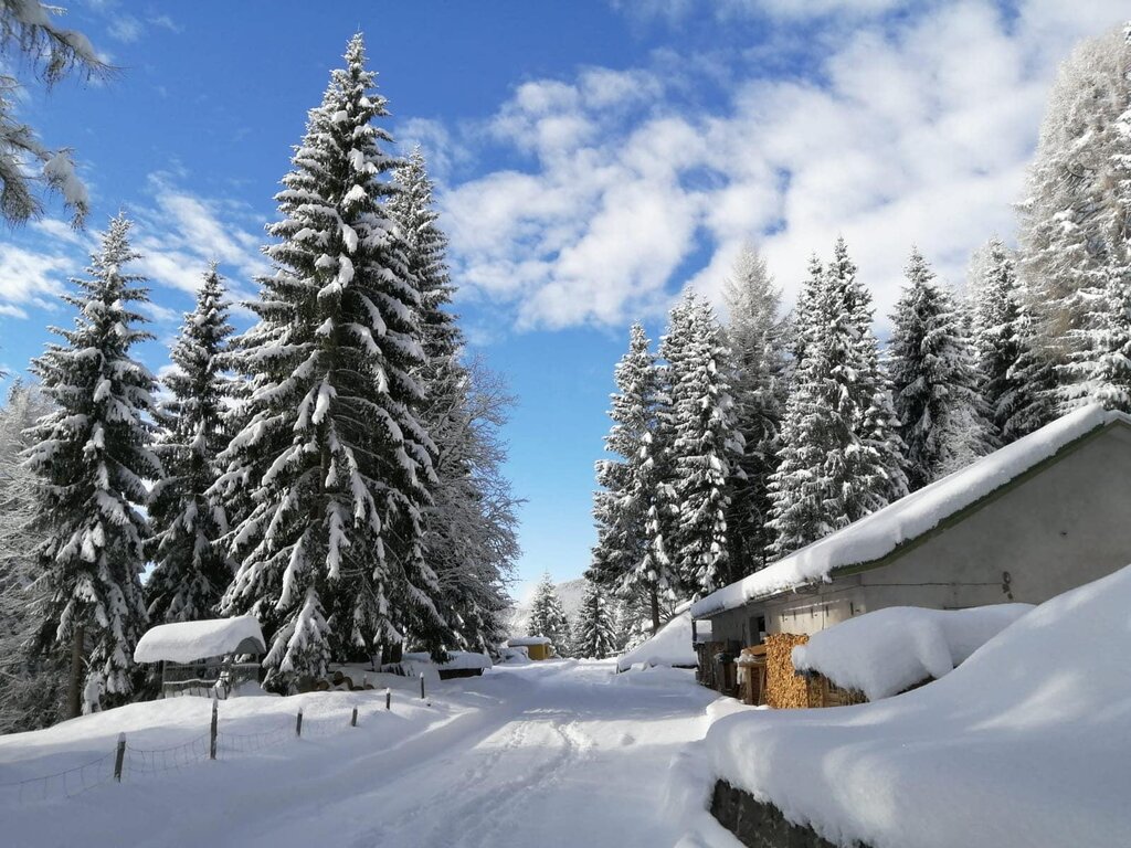 Ai Lares inverno