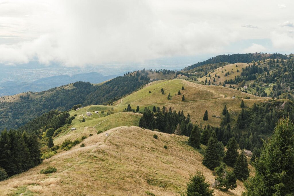 Dorsale prealpina