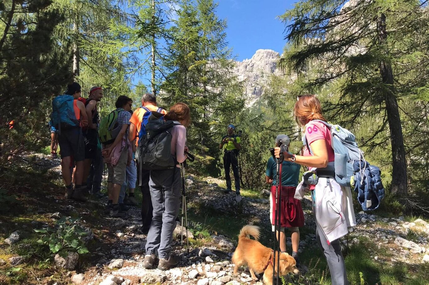 Uscita Parco Nazionale Dolomiti Bellunesi