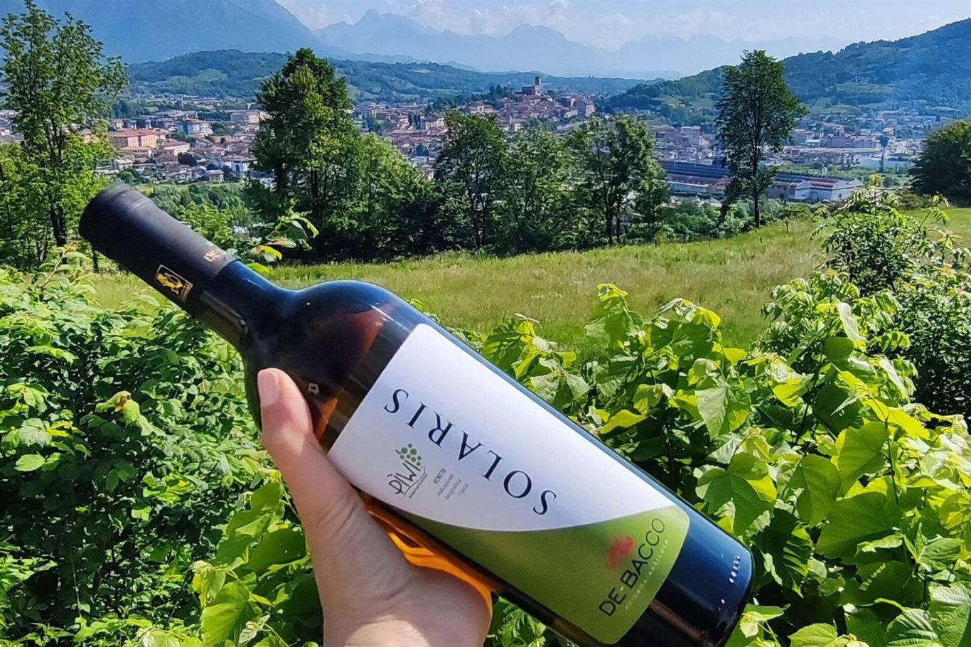 Vino Solaris- veduta di Feltre