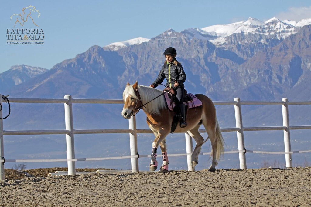 A cavallo d'inverno