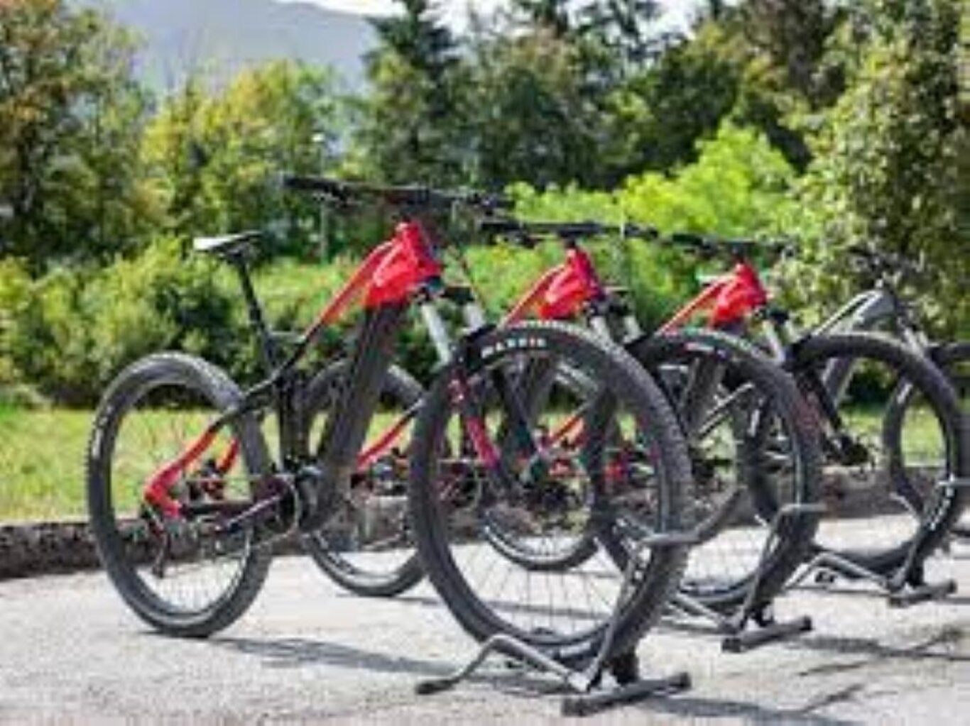 FerAlp Bikes