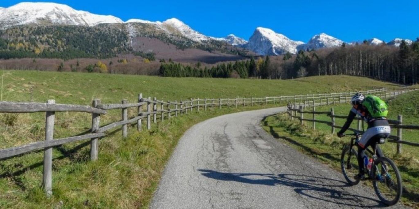 Sentiero Alpago Natura