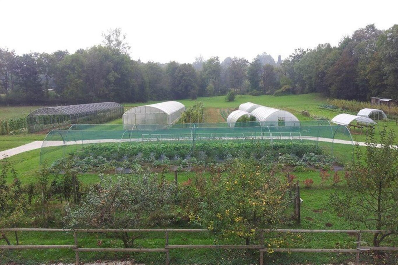 Vista dell'azienda dall'alto