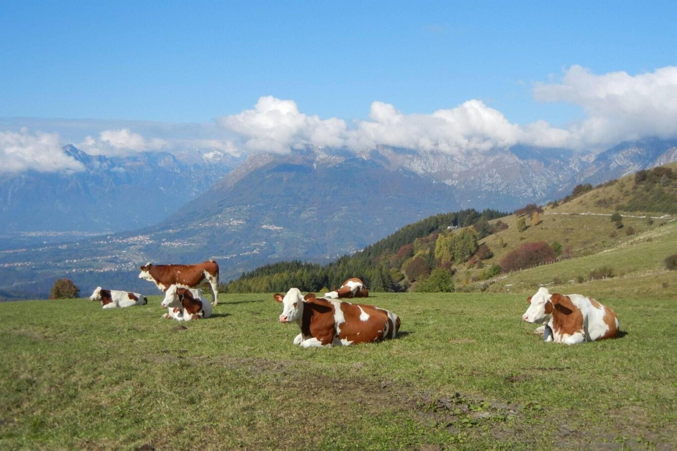 Sentiero del cervo