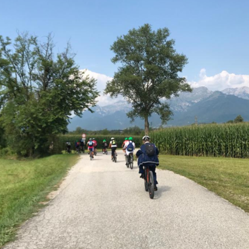 Gruppo in e-bike Gruppo in e-bike