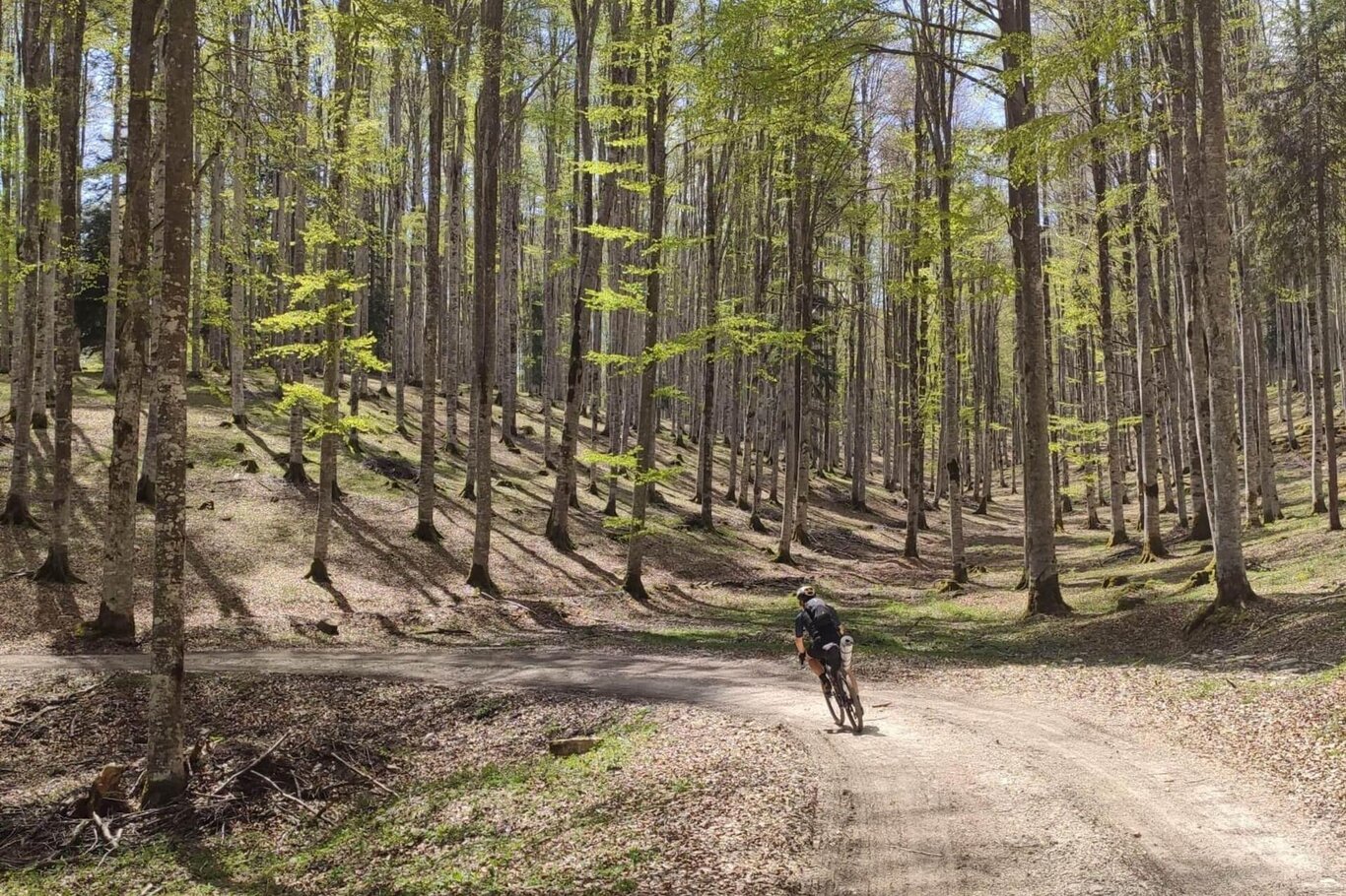 Cicloturista lungo il percorso Cicloturista lungo il percorso