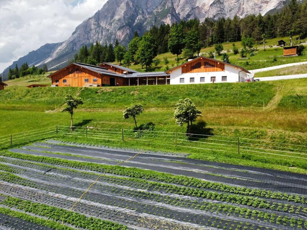 Campo e Azienda Campo e Azienda